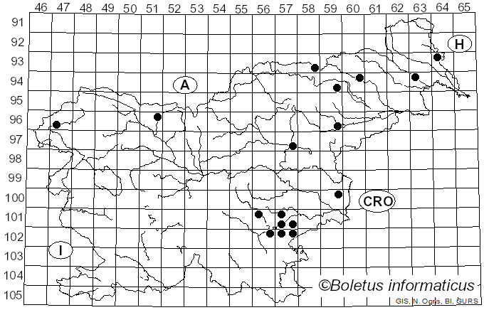 <i>Echinoderma calcicola</i> (Knudsen) Bon (1991)