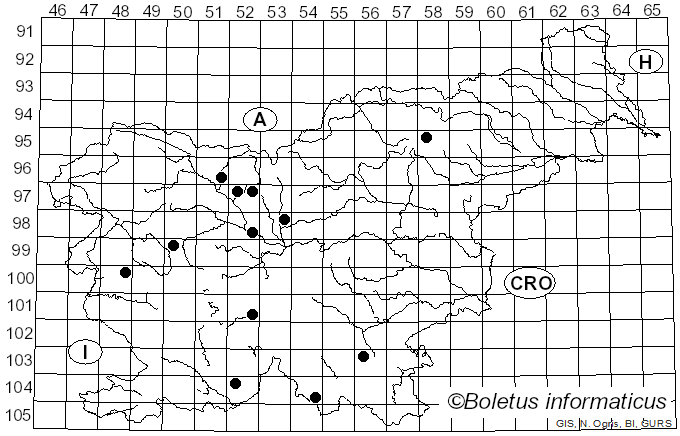 <i>Panellus violaceofulvus</i> (Batsch) Singer (1936)