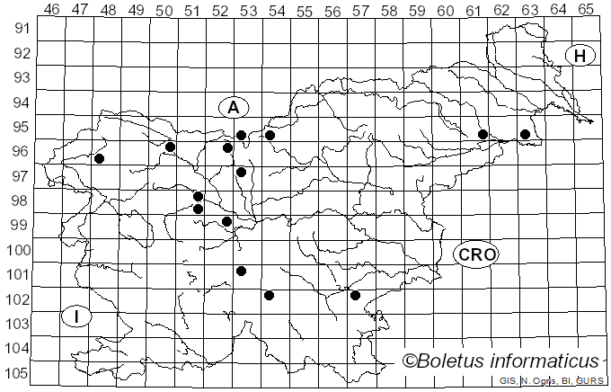 <i>Rhodonia placenta</i> (Fr.) Niemelä, K.H. Larss. & Schigel (2005)