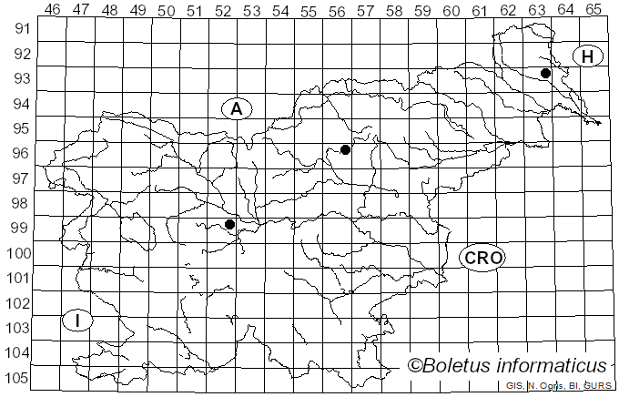 <i>Leccinellum corsicum</i> (Rolland) Bresinsky & Manfr. Binder (2003)