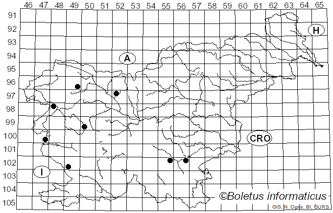 <i>Hypoxylon rubiginosum</i> (Pers.) Fr. (1849)