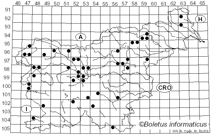 <i>Cortinarius cinnabarinus</i> Fr. (1838)