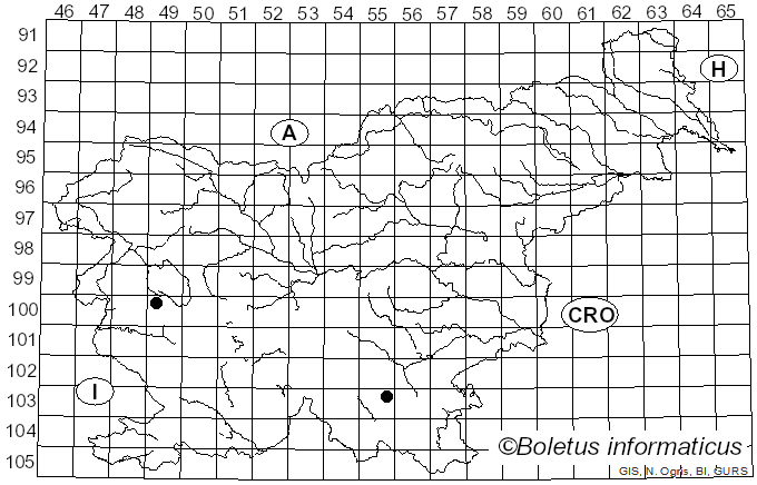 <i>Antrodiella romellii</i> (Donk) Niemelä (1982)