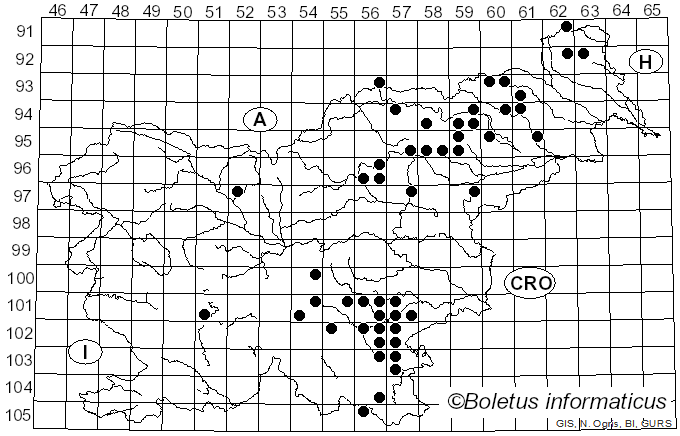 <i>Russula langei</i> Bon (1970)
