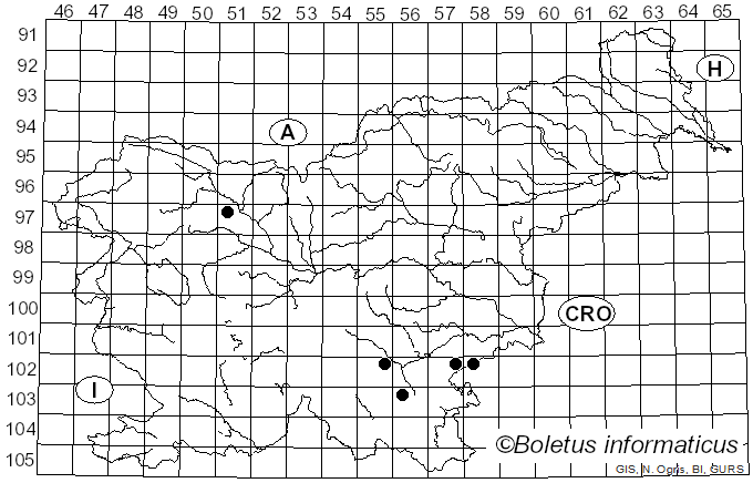 <i>Crustomyces subabruptus</i> (Bourdot & Galzin) Jülich (1978)