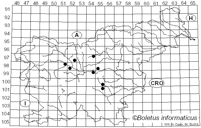 <i>Pristiphora</i>