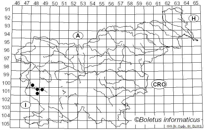 <i>Euaresta aequalis</i> Loew