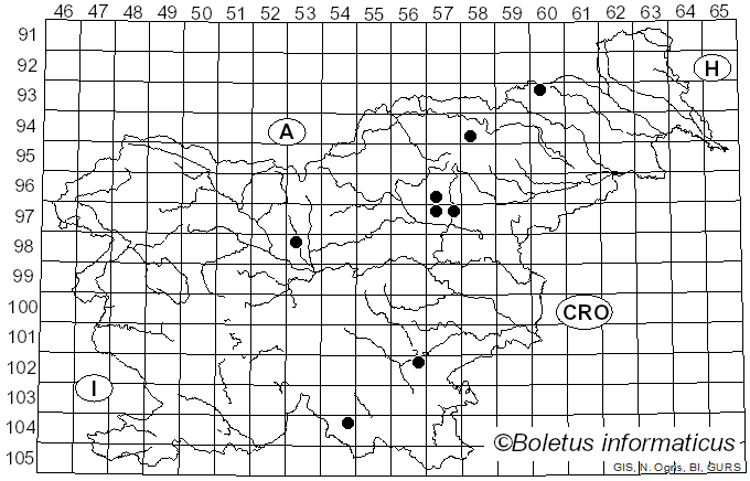 <i>Pseudoclitocybe obbata</i> (Fr.) Singer (1962)