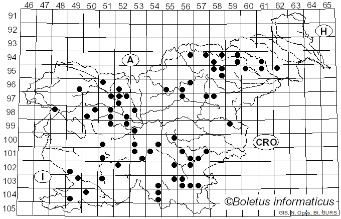<i>Ischnoderma benzoinum</i> (Wahlenb.) P. Karst. (1881)