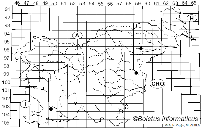<i>Pholiota conissans</i> (Fr.) M.M. Moser (1986)