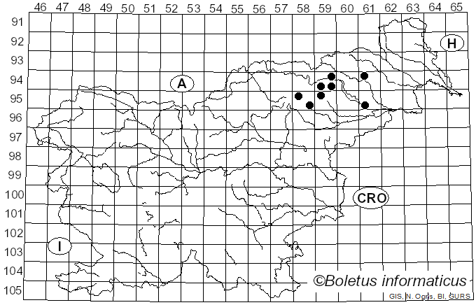 <i>Hebeloma clavulipes</i> Romagn. (1965)