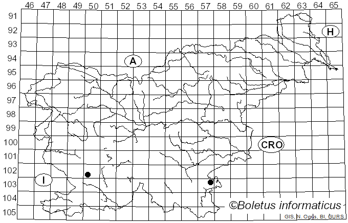 <i>Ectoedemia atricollis</i> Stainton