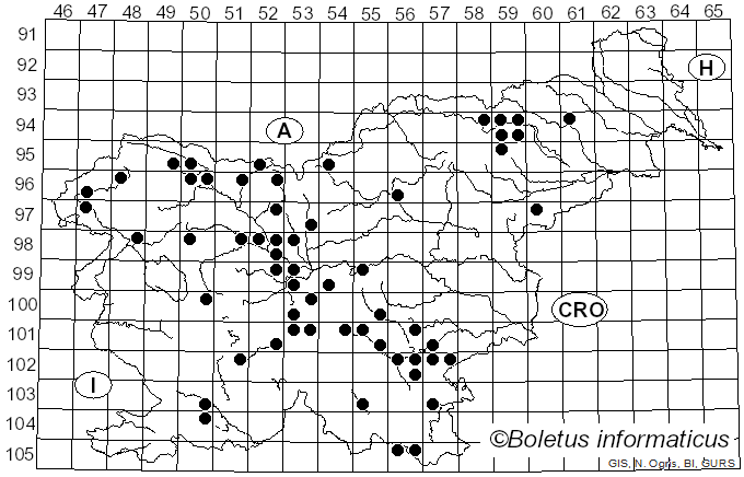 <i>Tubifera ferruginosa</i> (Batsch) J.F. Gmel. (1792)