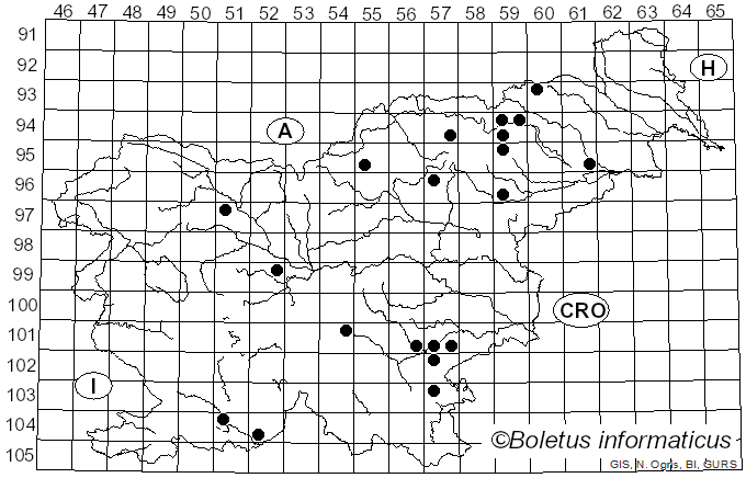 <i>Russula curtipes</i> F.H. Møller & Jul. Schäff. (1935)