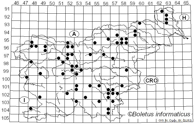 <i>Hydnellum peckii</i> Banker (1912)