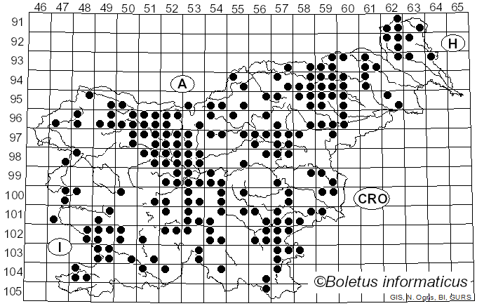 <i>Chroogomphus</i> (Singer) O.K. Mill. (1964)