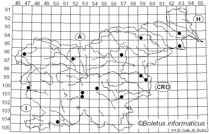 <i>Melanoleuca exscissa</i> (Fr.) Singer (1935)