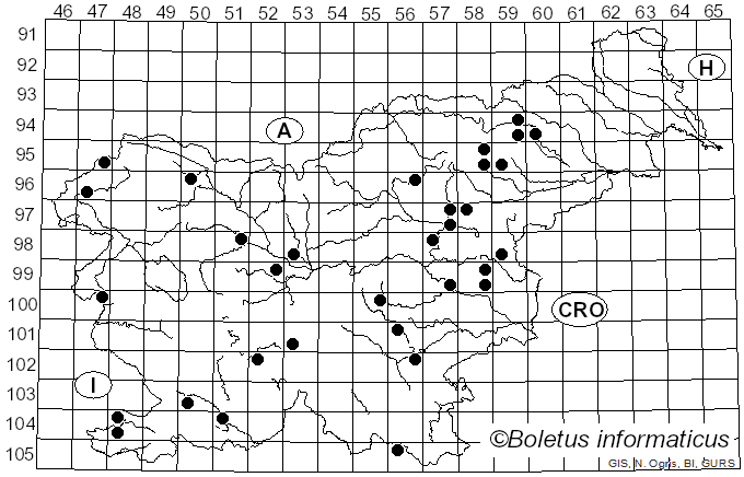 <i>Hericium erinaceus</i> (Bull.) Pers. (1797)