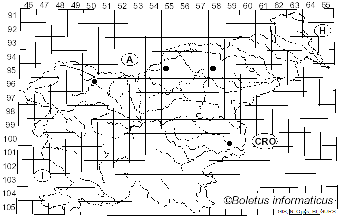 <i>Gemmamyces piceae</i> (Borthw.) Casagr. (1969)