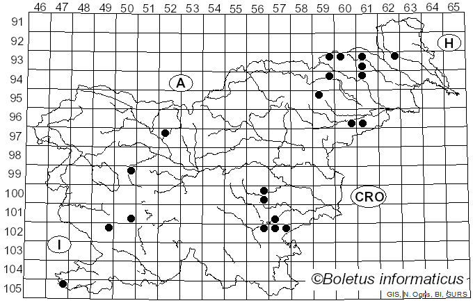 <i>Cantharellus ferruginascens</i> P.D. Orton (1969)