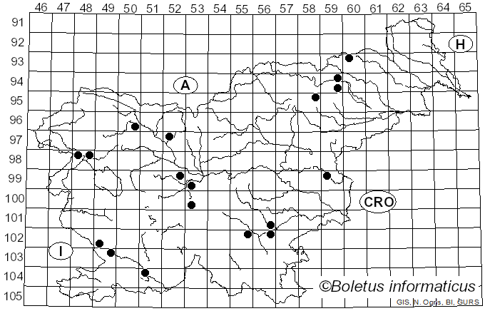 <i>Antrodia albida</i> (Fr.) Donk (1966)