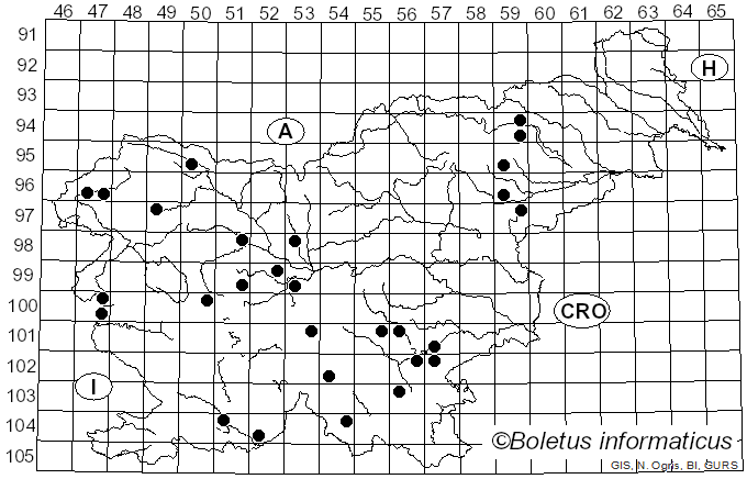 <i>Cyclocybe erebia</i> (Fr.) Vizzini & Matheny (2014)
