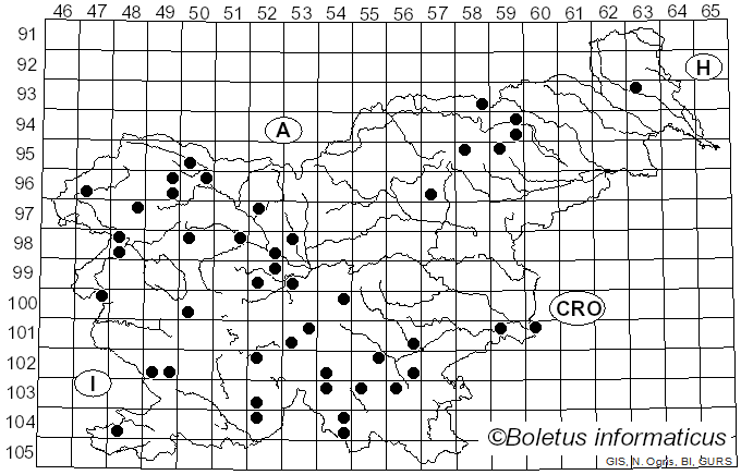 <i>Limacella</i> Earle (1909)