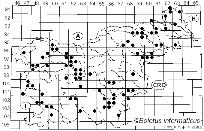 <i>Peniophora</i> Cooke (1879)