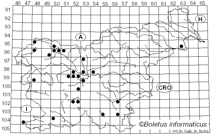 <i>Phragmidium</i> Link (1816)