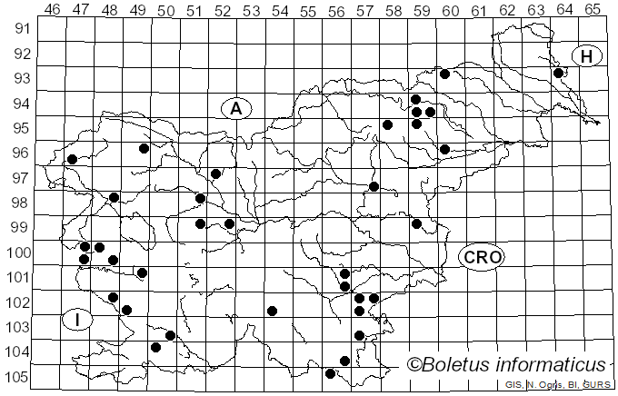 <i>Clitopilus geminus</i> (Paulet) Noordel. & Co-David (2009)