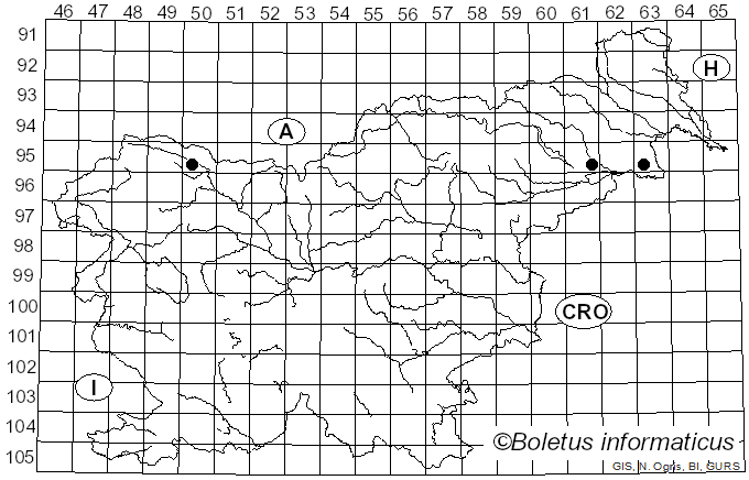 <i>Peniophora rufomarginata</i> (Pers.) Bourdot & Galzin (1912)
