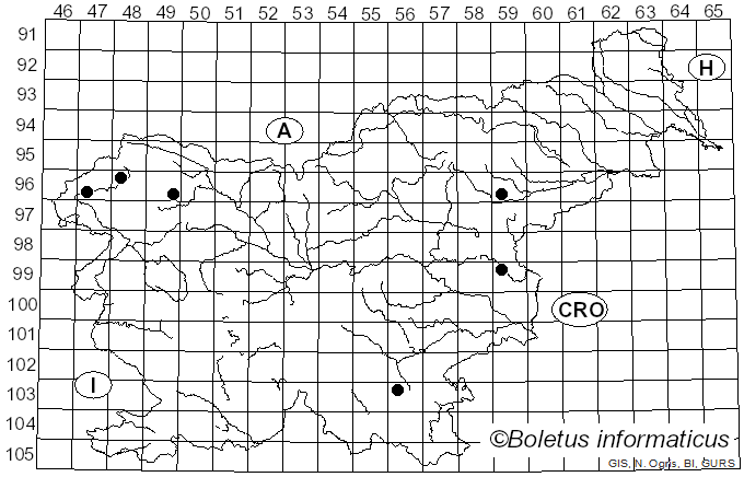 <i>Pluteus pouzarianus</i> Singer (1983)