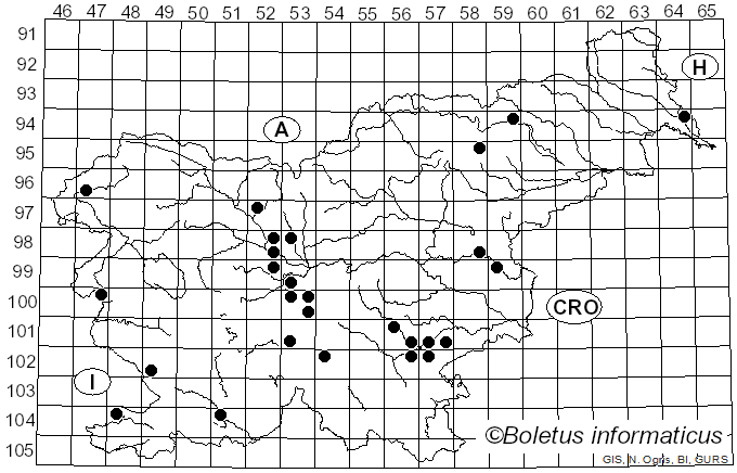 <i>Entoloma bloxamii</i> (Berk.) Sacc. (1887)