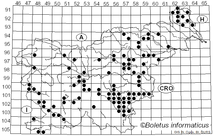 <i>Boletus aereus</i> Bull. (1791)