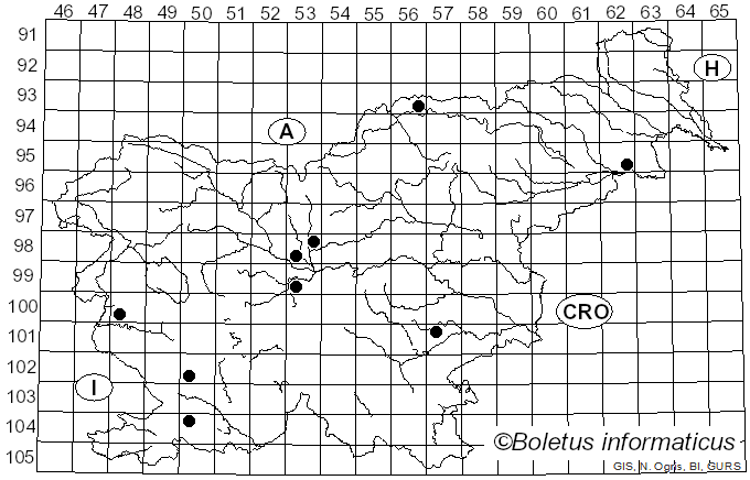 <i>Dasineura</i>