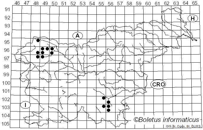 <i>Peltigera degenii</i> Gyeln. (1927)