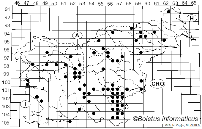<i>Russula farinipes</i> Romell (1893)