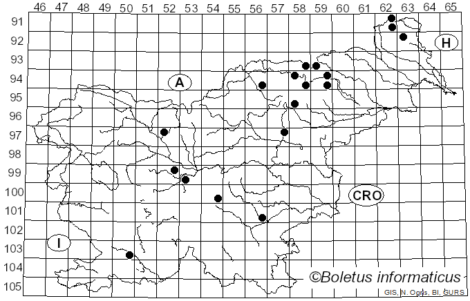 <i>Phellodon fuligineoalbus</i> (J.C. Schmidt) R.E. Baird (2013)