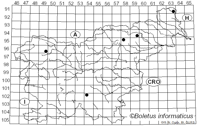 <i>Inocybe subcarpta</i> Kühner & Boursier (1932)