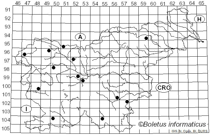 <i>Melanoleuca subalpina</i> (Britzelm.) Bresinsky & Stangl (1976)