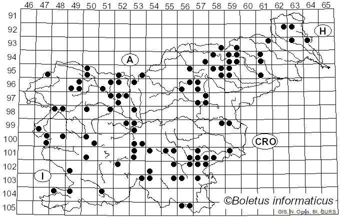 <i>Cortinarius venetus</i> (Fr.) Fr. (1838)