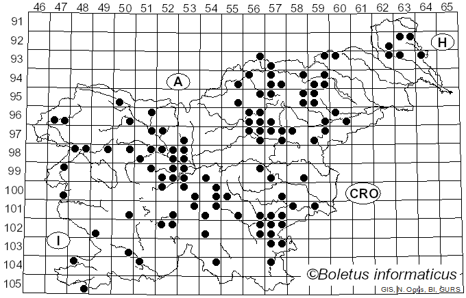 <i>Russula grisea</i> (Batsch) Fr. (1838)