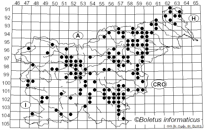 <i>Russula fragilis</i> Fr. (1838)