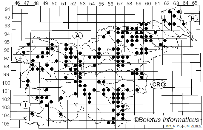 <i>Bovista</i> Pers. (1794)