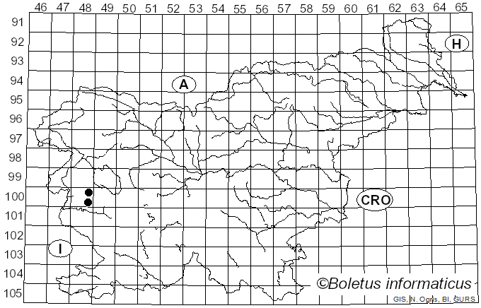 <i>Thaxterogaster anomalochrascens</i> (Chevassut & Rob. Henry) Niskanen & Liimat. (2022)