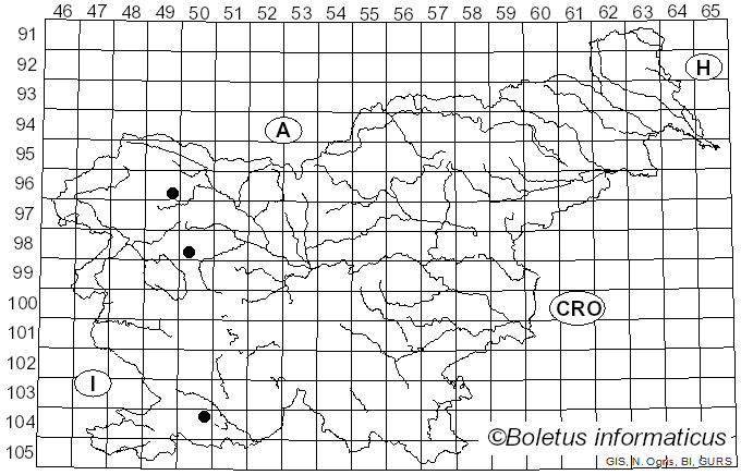 <i>Ascobolus albidus</i> P. Crouan & H. Crouan (1858)