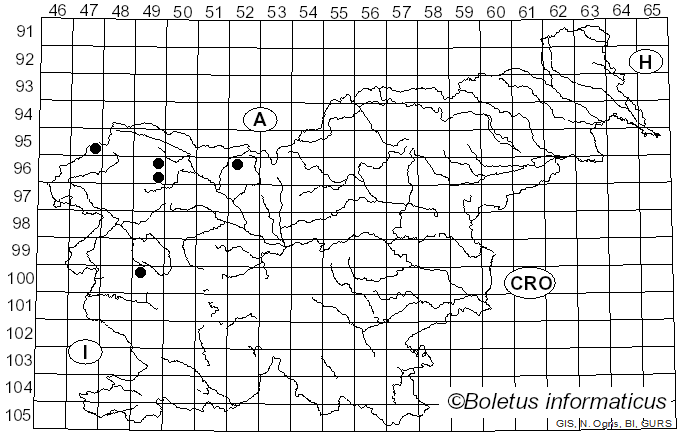 <i>Rhodophana nitellina</i> (Fr.) Papetti (2014)