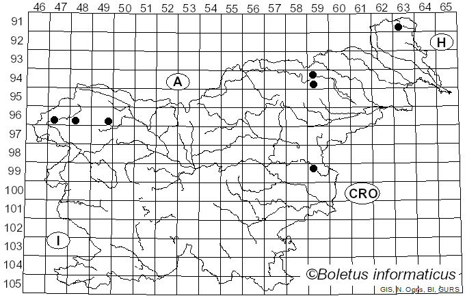 <i>Atheniella flavoalba</i> (Fr.) Redhead, Moncalvo, Vilgalys, Desjardin & B.A. Perry (2012)