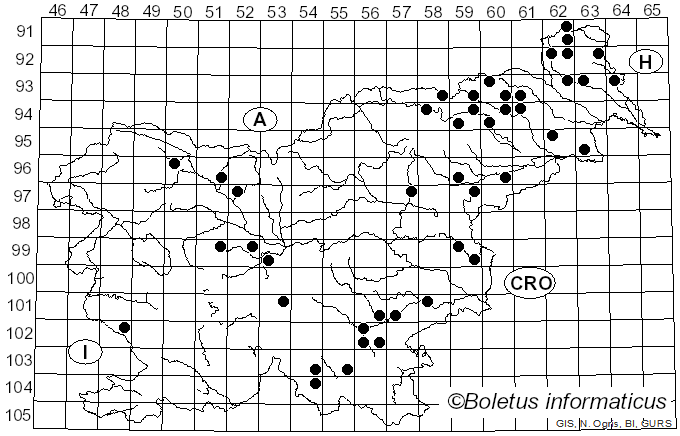 <i>Antrodiella</i> Ryvarden & I. Johans. (1980)