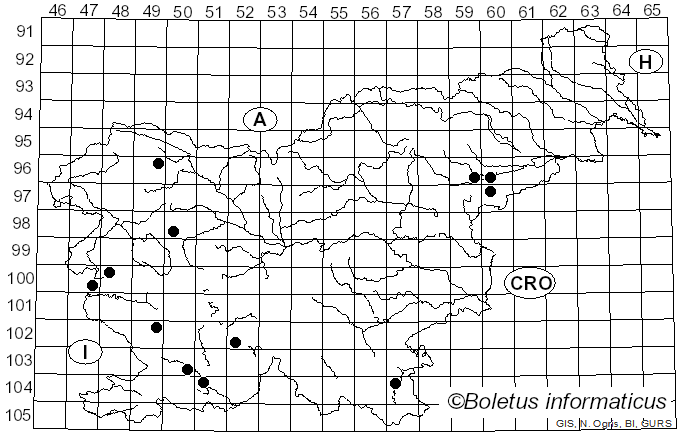 <i>Lachnellula willkommii</i> (Hartig) Dennis (1962)